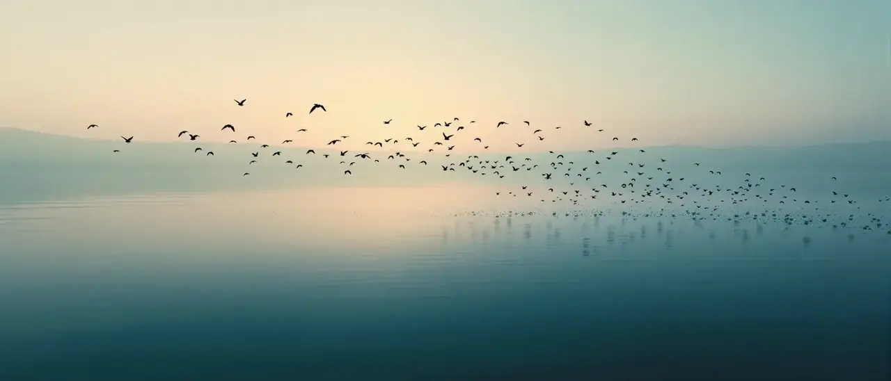 玄天影院应用下载背景
